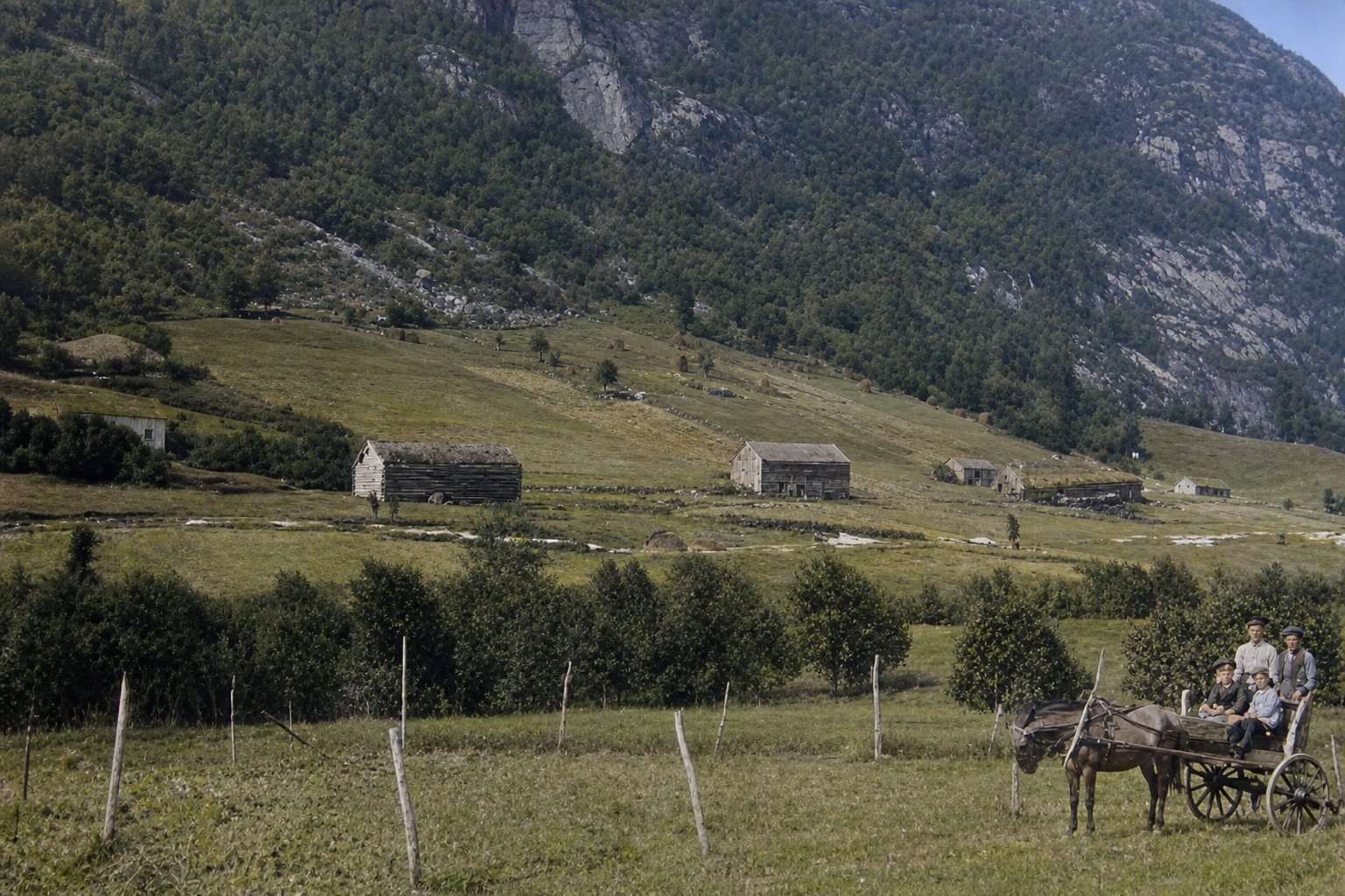 De to Tynning-gårdene i Brekke sett fra Haugland i 1914, med hest og vogn i forgrunnen